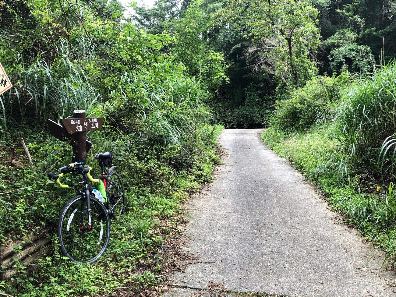 荻山林道のピーク手前