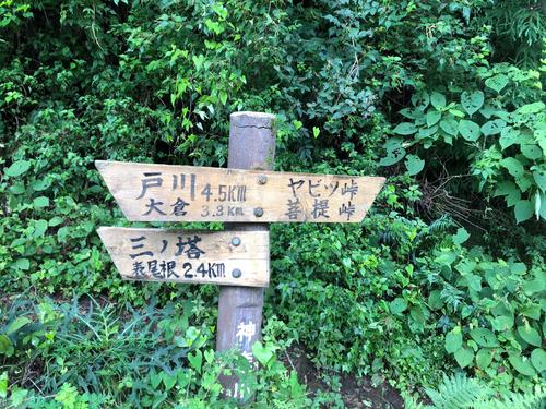 こんな道標があるところはロードバイクで行くところではないかな
