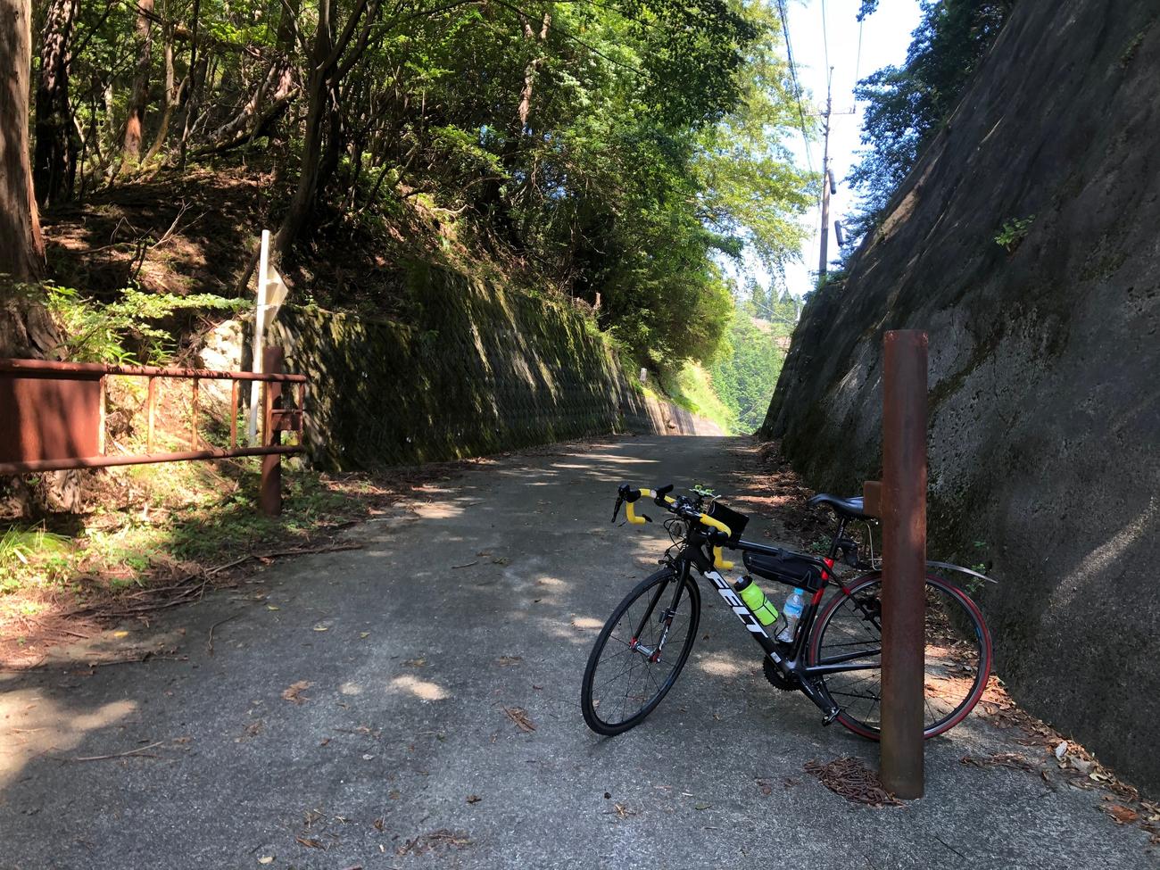 厳道峠のピーク