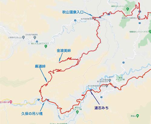 今回のコース