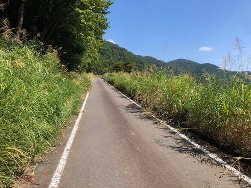 金波美峠への上り