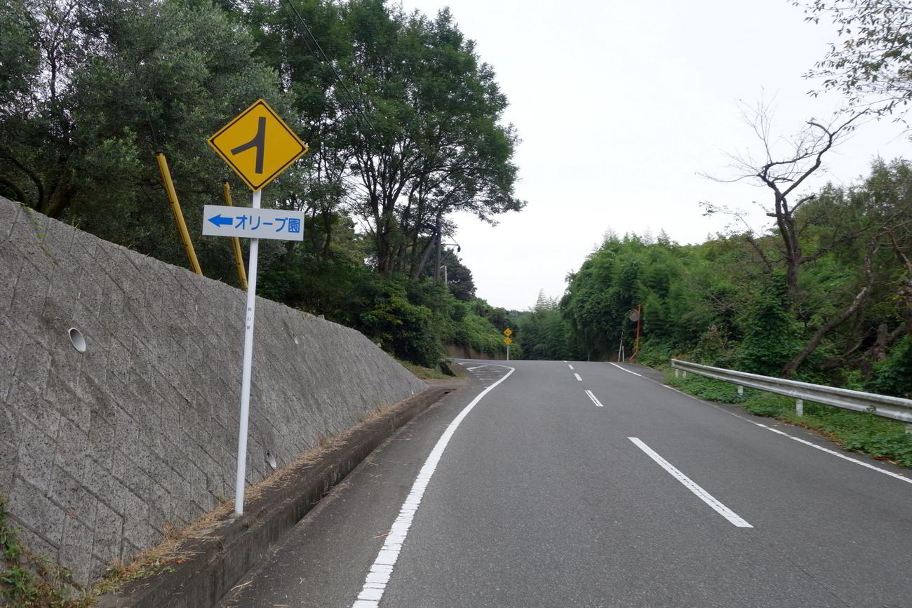 オリーブ園への分岐