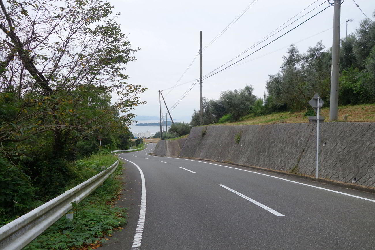 オリーブ園からの海へ向かう下り
