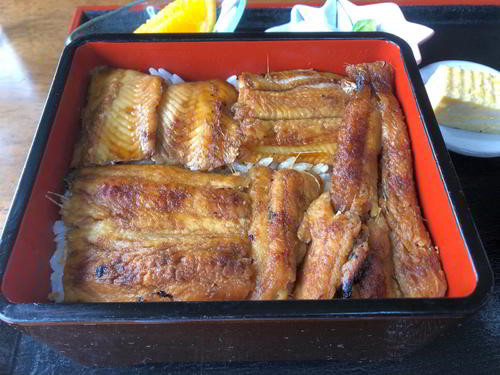 「青島」の肉厚あなご重