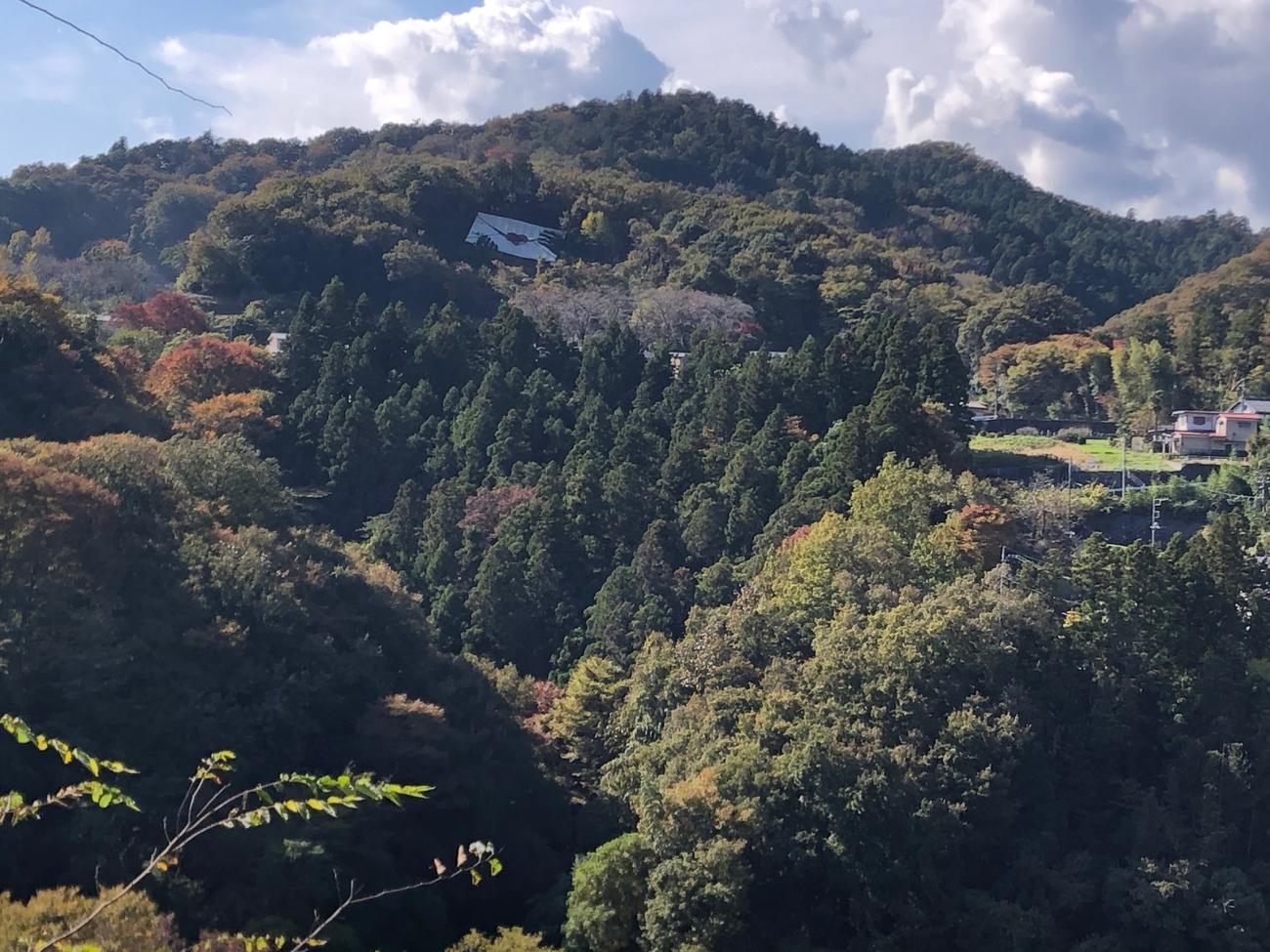 「緑のラブレター」
