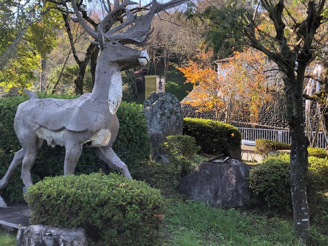 「カリブー」