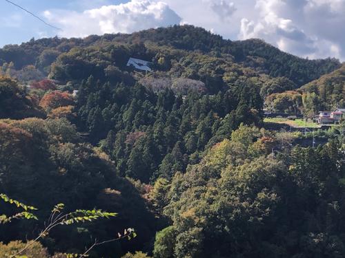 「緑のラブレター」