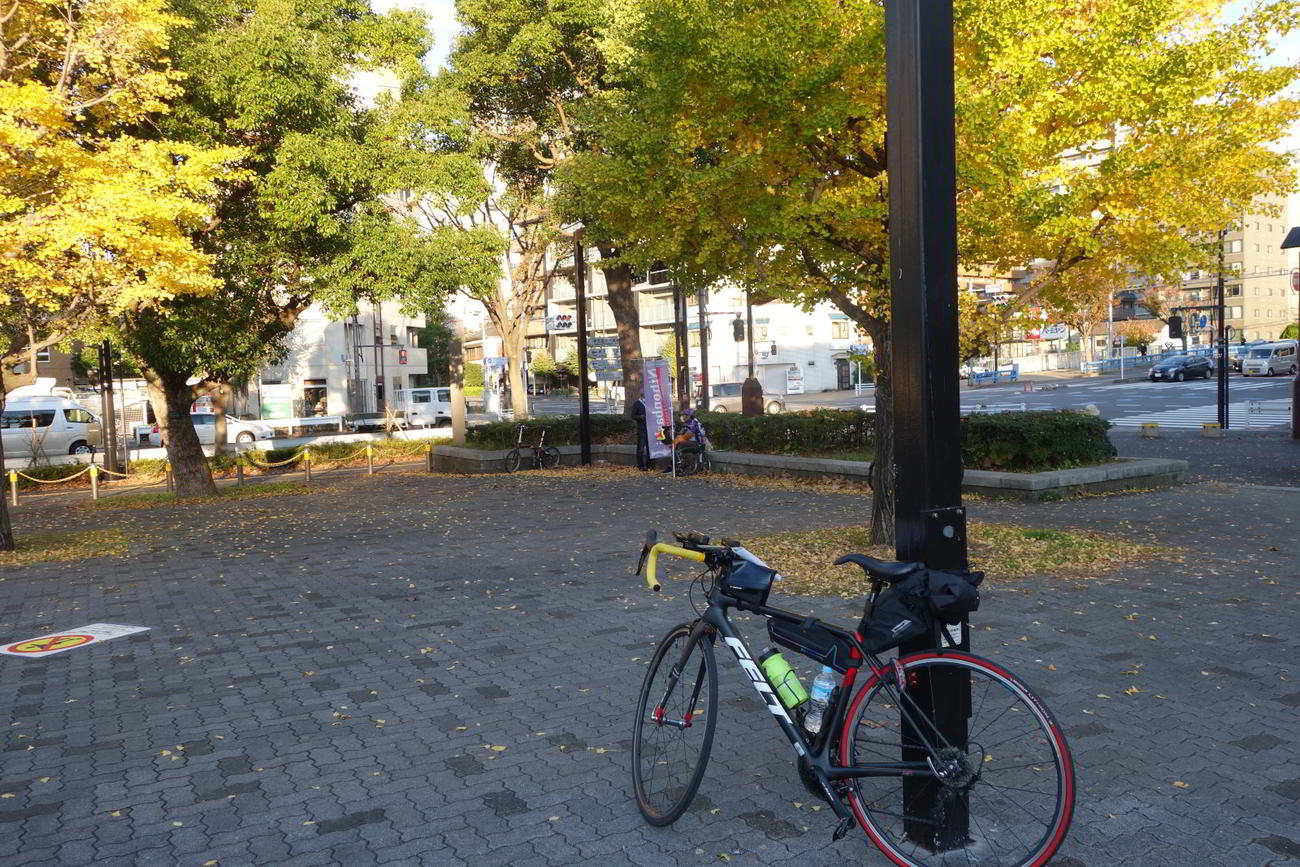 スタート地点の都立木場公園