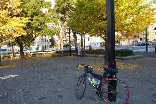 スタート地点の都立木場公園