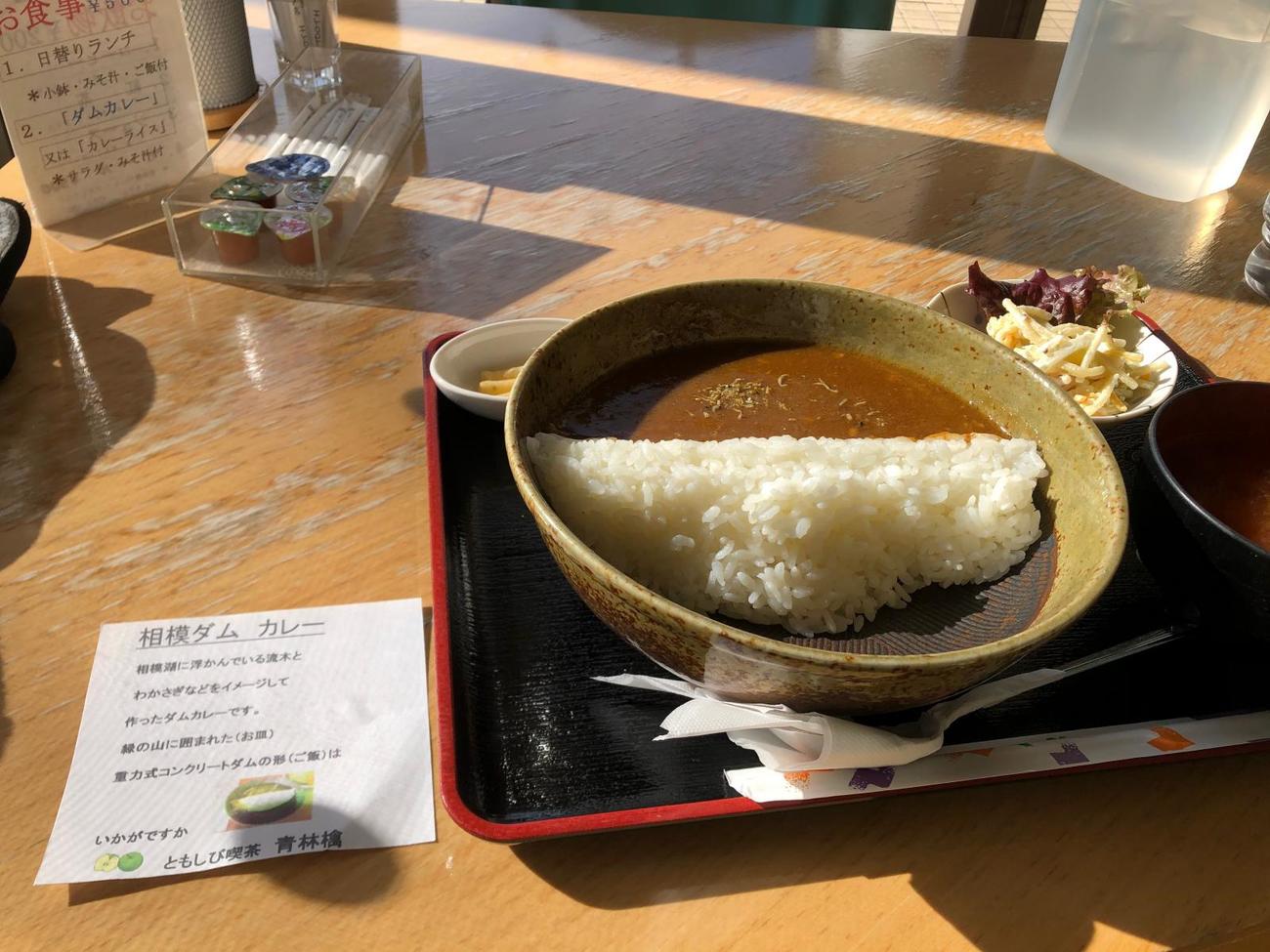 相模ダムカレー