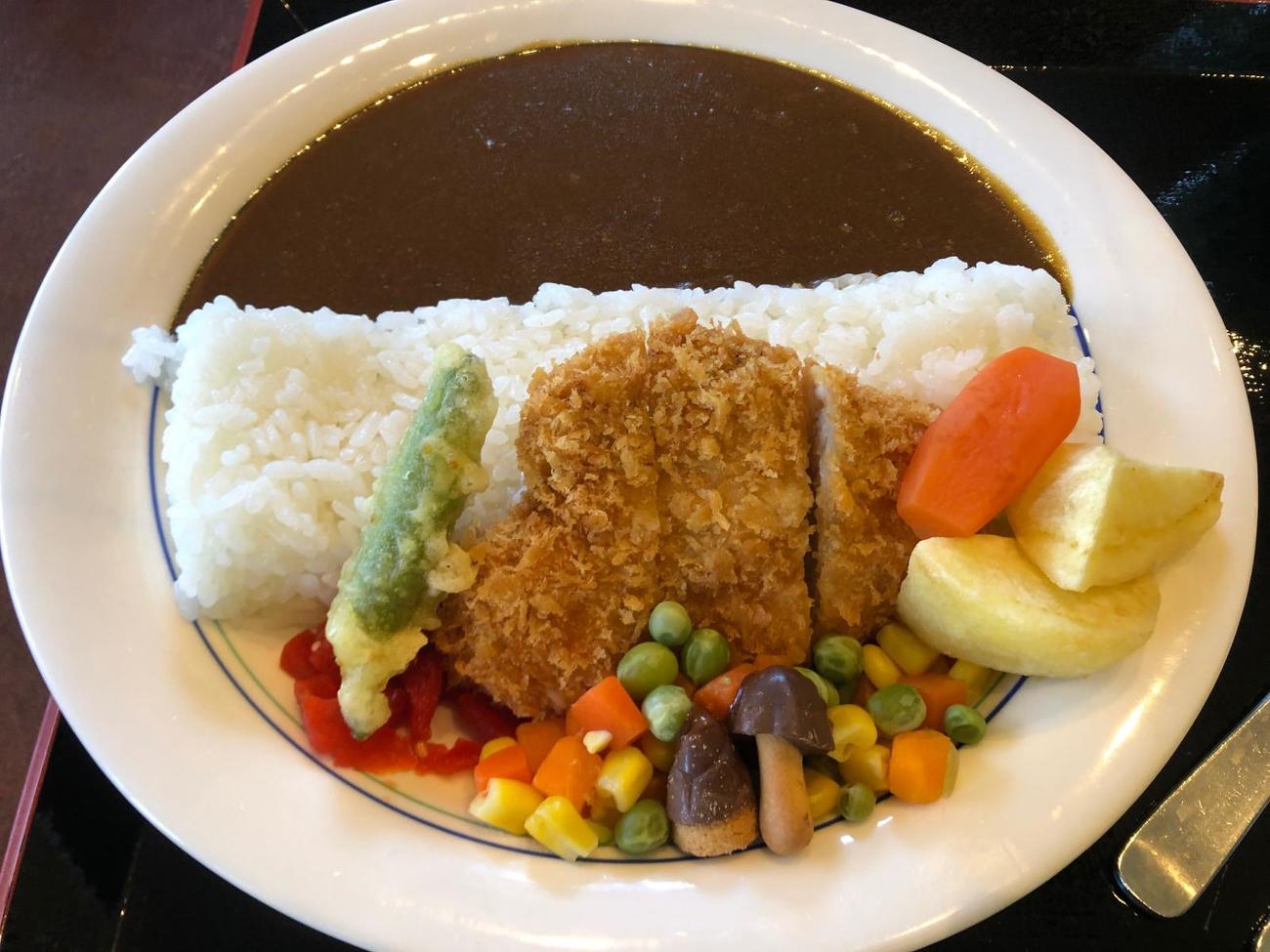 宮ケ瀬ダムカレー