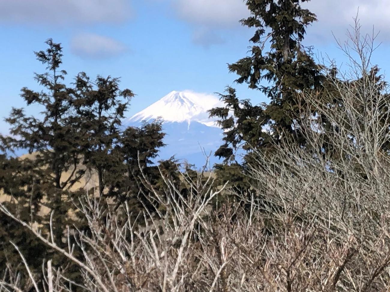 小土肥駐車場からは富士山が見えた
