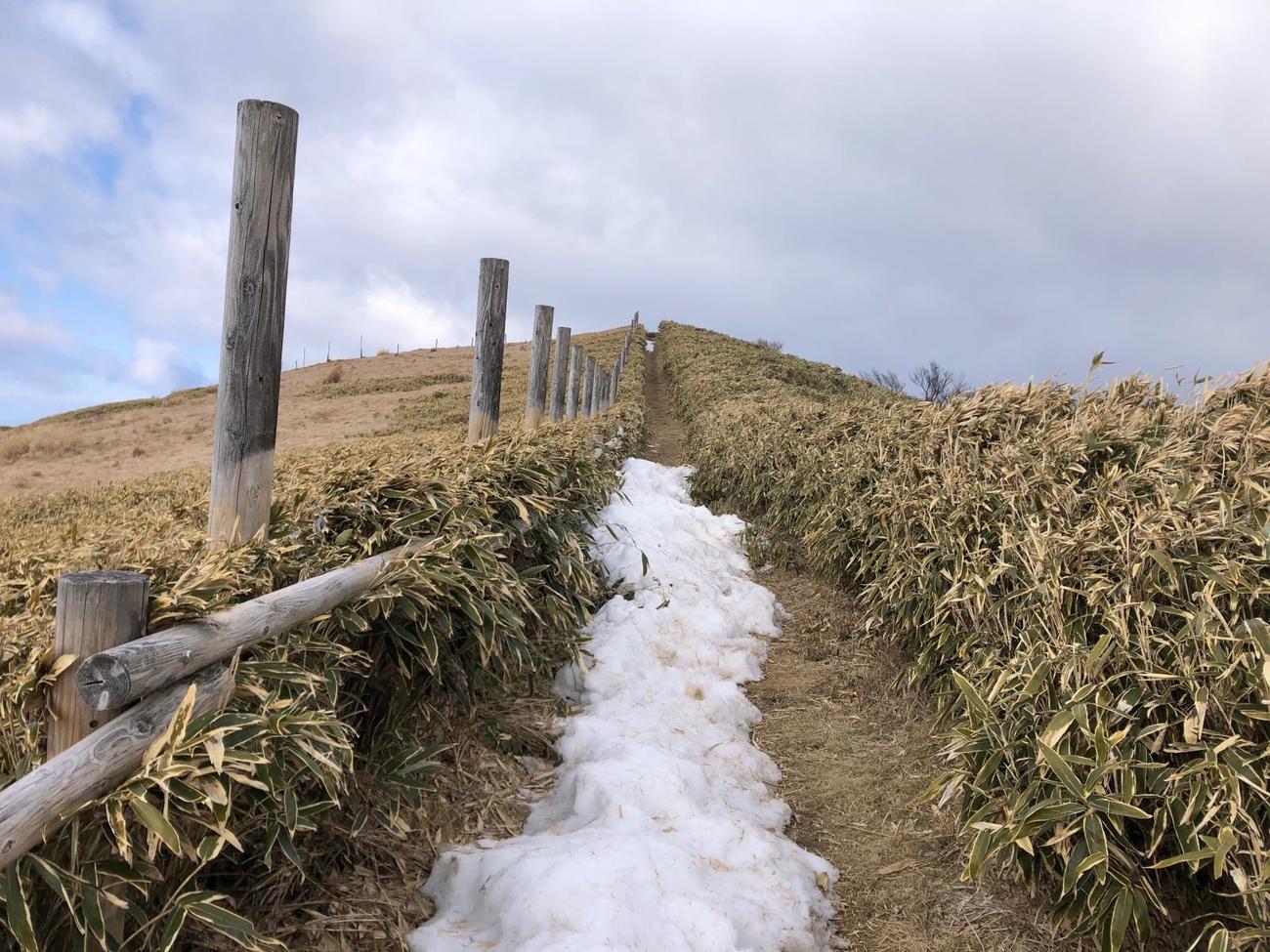 仁科峠展望台への道は雪に阻まれた