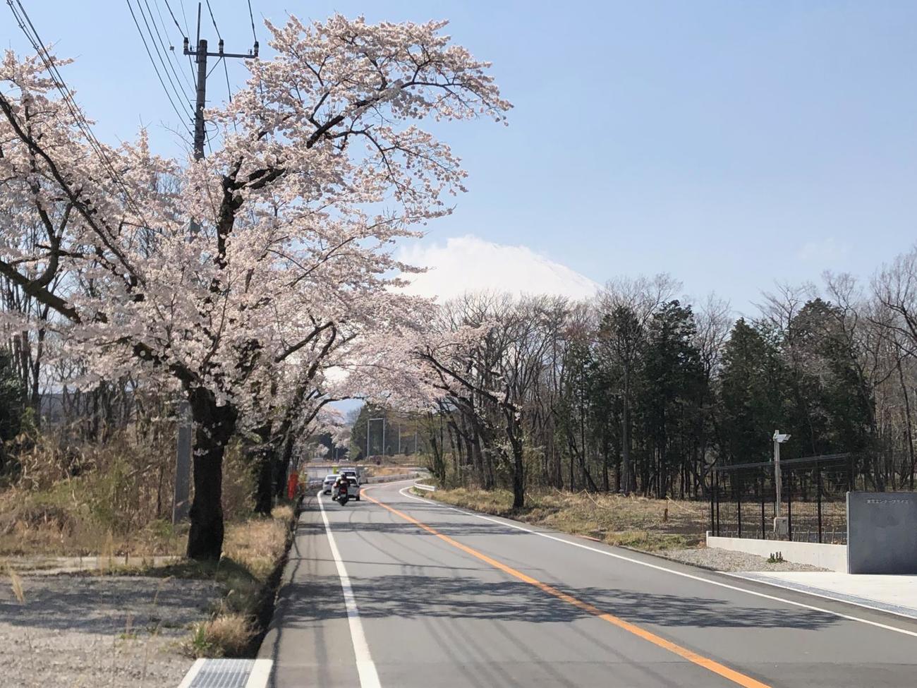 午後1時28分　県道151号（須走小山線）富士山が段々と近づいてくる
