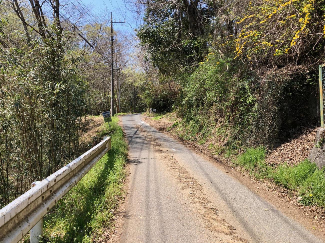 午前10時49分　中井町から大井町へかけての山道へ入る