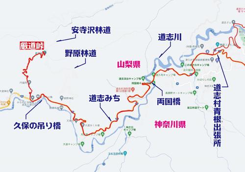 今回のコース