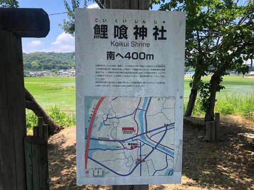 鯉喰神社の案内板