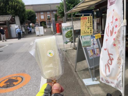 「とけないアイス」アイスゼリーバーのパイン味