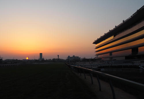 午前6時30分すぎ、阪神競馬場に日が昇り始めます