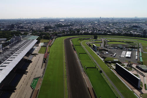 上空１００メートルを飛行するファントム４。正面には新宿の高層ビル群が見えます