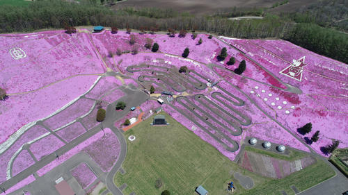 上空140メートルからの芝桜です