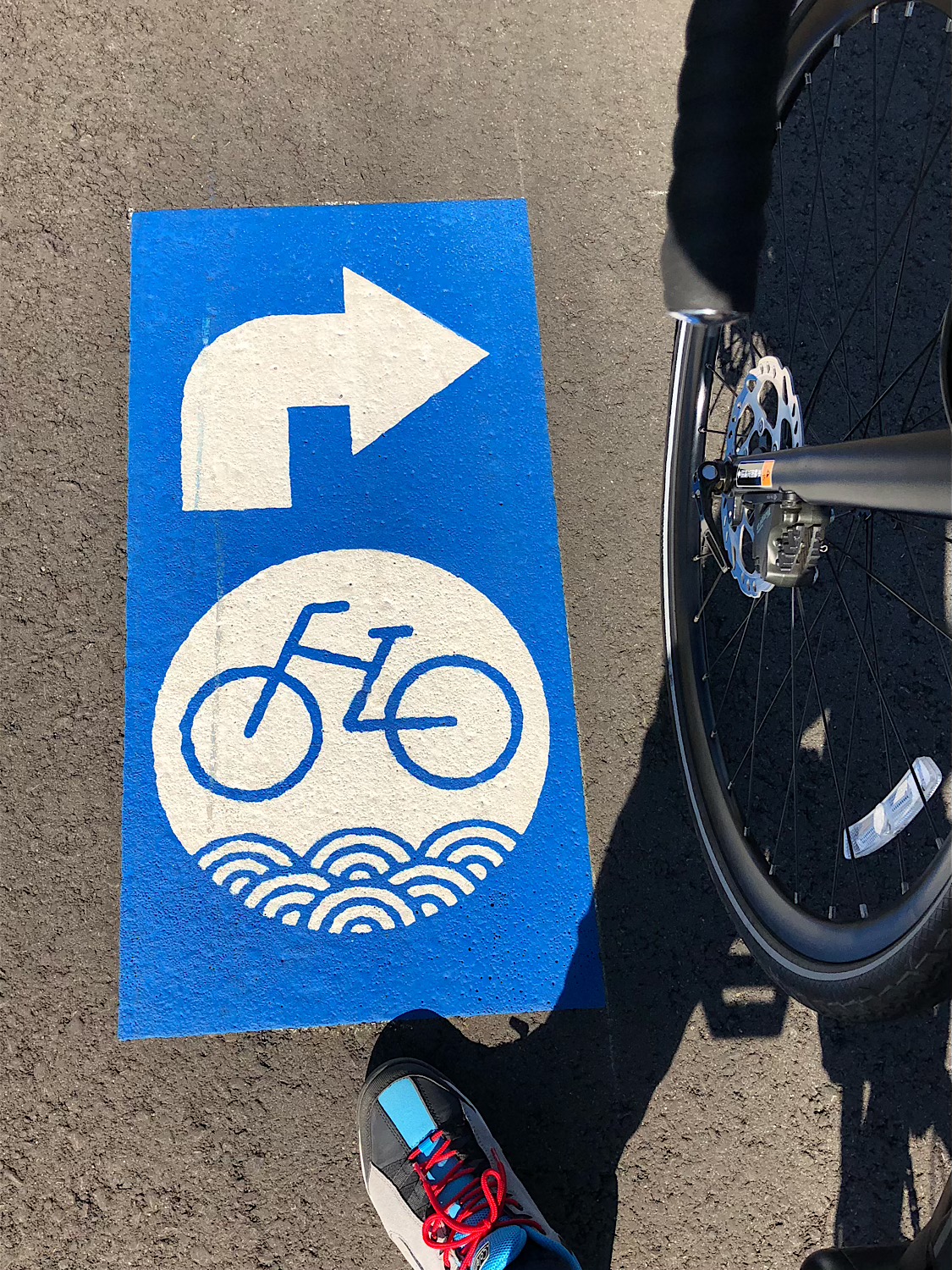 太平洋岸自転車道を行く