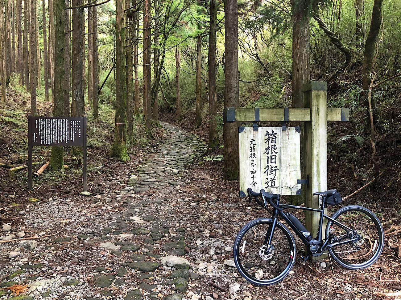 箱根旧街道の石畳。昔はこんなところを歩いたのだ