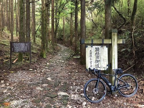 箱根旧街道の石畳。昔はこんなところを歩いたのだ