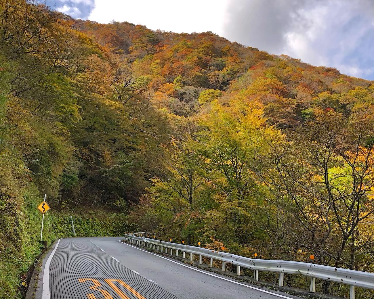 美しい紅葉を眺めながらペダルをこぐ