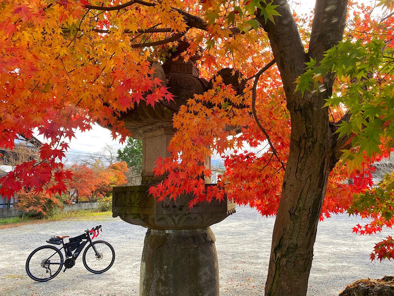 第22番童子堂では美しい紅葉を見ることができた