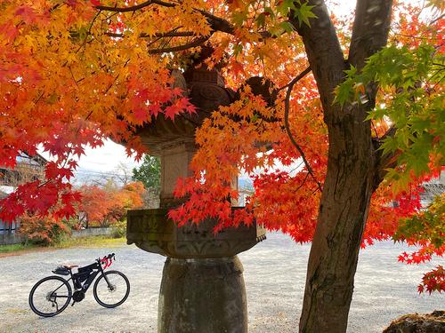 第22番童子堂では美しい紅葉を見ることができた