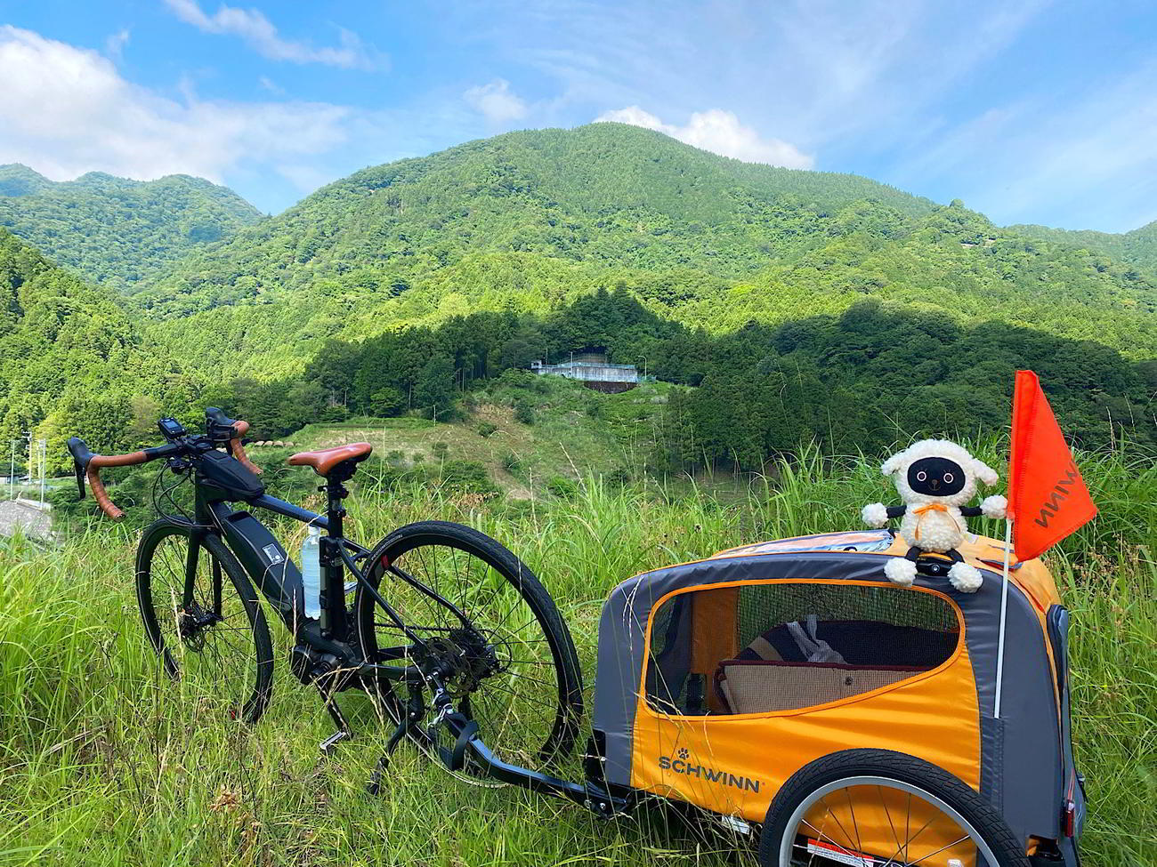 これから始まるぬいぐるみの旅に向けての撮影練習