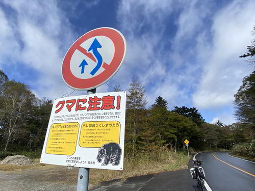 「クマに注意」の文字。確かに熊が出てきてもおかしくない雰囲気