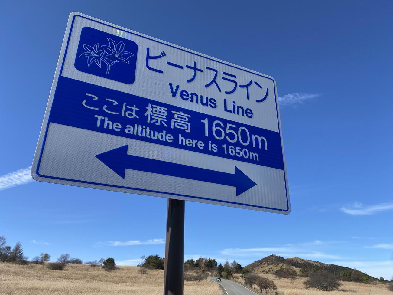 ビーナスラインは平均標高1400メートルの高原ロード