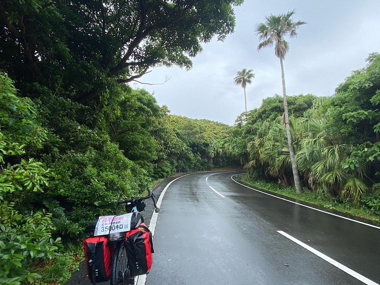 熱帯植物に囲まれている佐多岬ロードパーク
