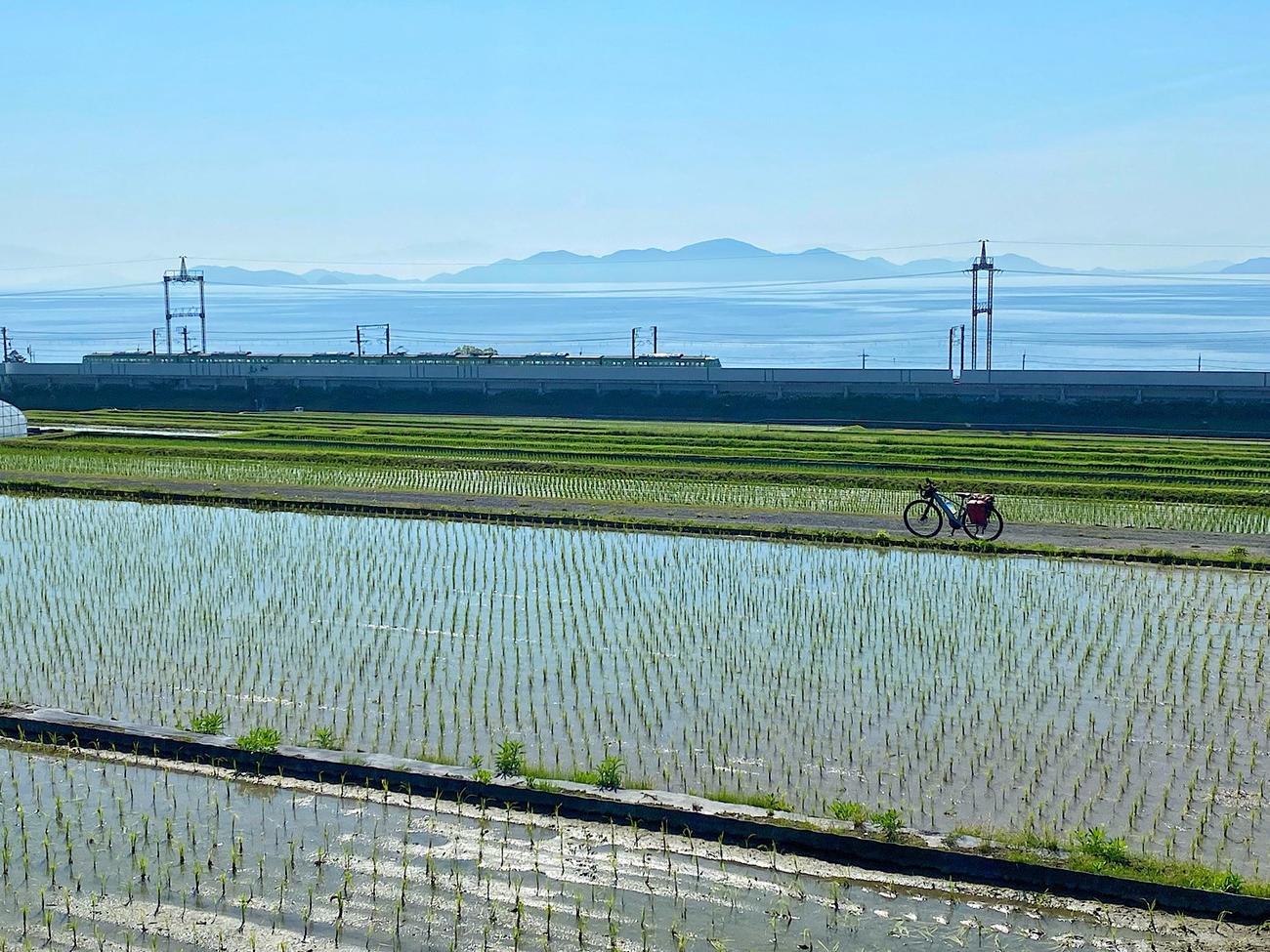 琵琶湖の周辺には豊かな田園風景が広がっていた