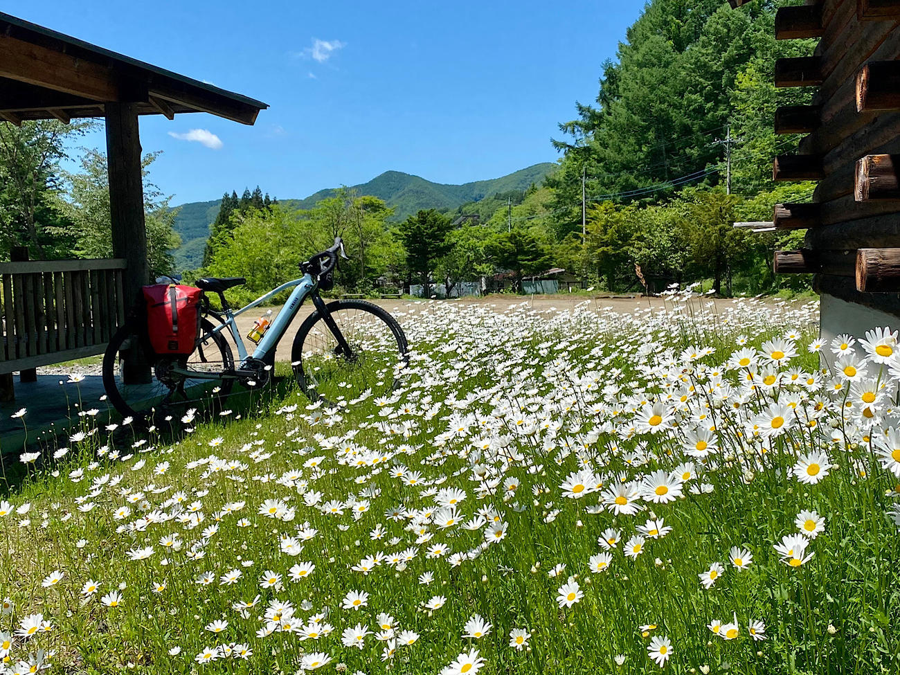 日本縦断をしていた6月は花の季節。美しい花々を眺めていると豊かな気持ちになる