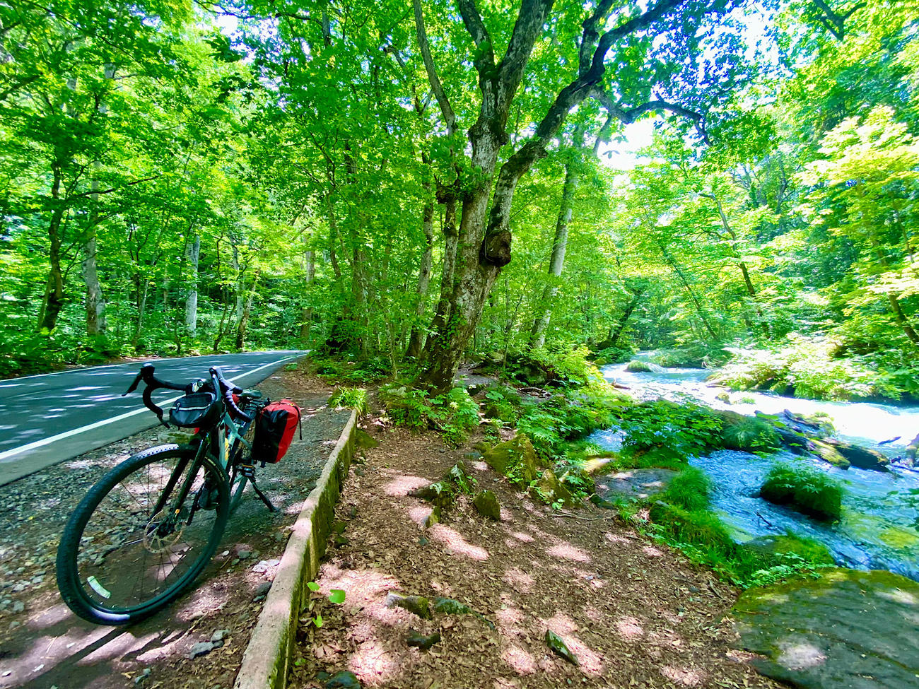 美しい奥入瀬渓流を横に眺めながら、ゆっくりE-Bikeを走らせた