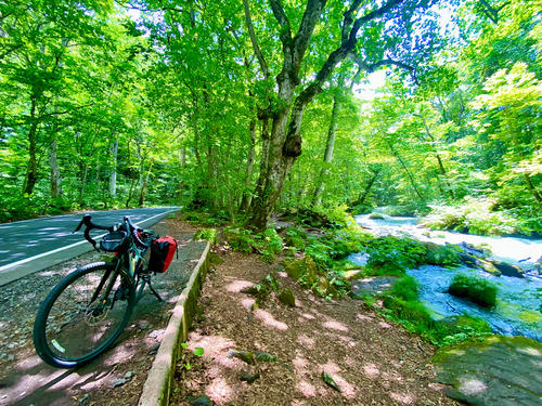 美しい奥入瀬渓流を横に眺めながら、ゆっくりE-Bikeを走らせた