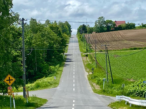 『美瑛ジェットコースターの路』は激しいアップダウンを繰り返す直線道路