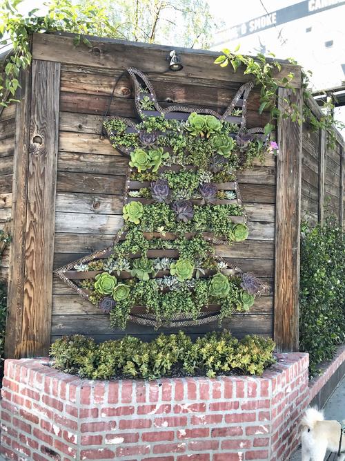 店名が書かれた看板はありませんが、植物でカフェのロゴとなっているヤギが描かれた塀が目印