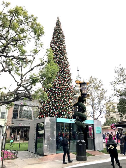 17日の点灯式を前に巨大クリスマスツリーもお目見えしたグローブ