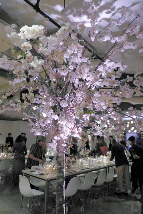 桜の木が「和」を演出する会場におよそ50人のアメリカ人が招待され、日本酒とシーフードを堪能