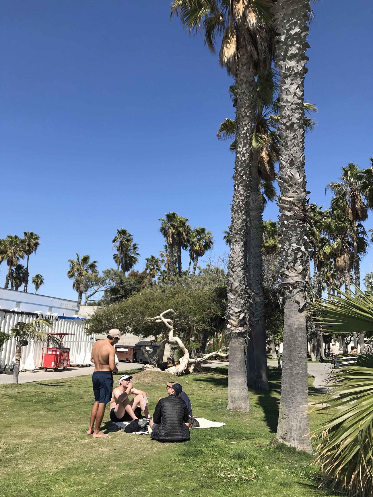 自宅待機命令が出た最初の週末に公園でピクニックする若者。この翌日に公園やビーチは閉鎖に