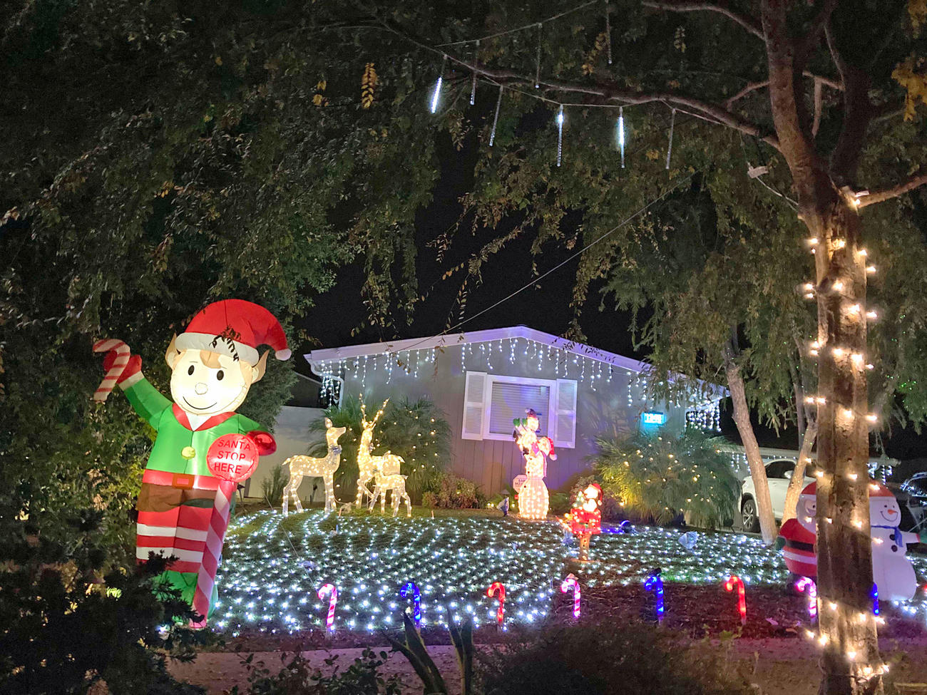 コロナ禍でもクリスマスのデコレーションをするお家もたくさん