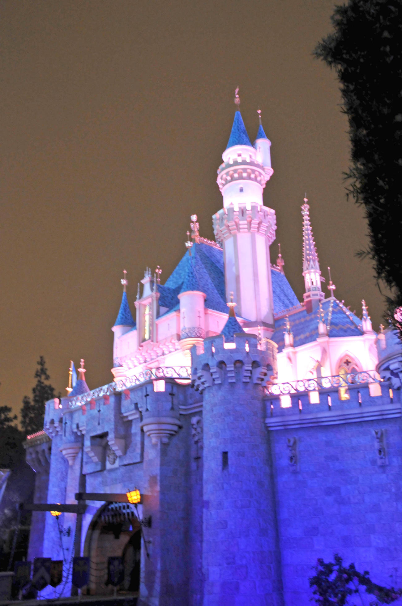 ディズニーランドのオーロラ城 