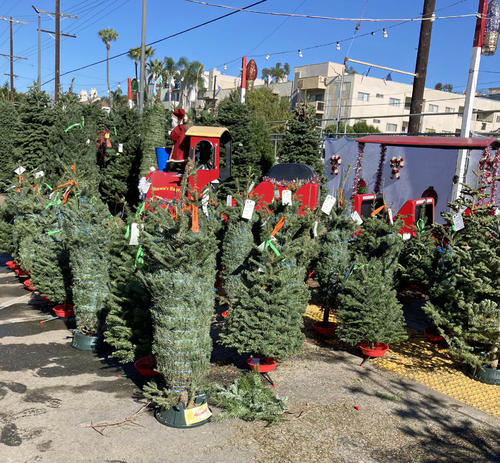 クリスマスツリーが並ぶ期間限定ショップは冬の風物詩