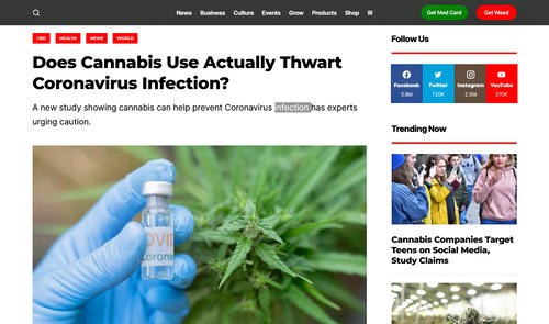 大麻がコロナ感染予防に効く？　と報じる記事