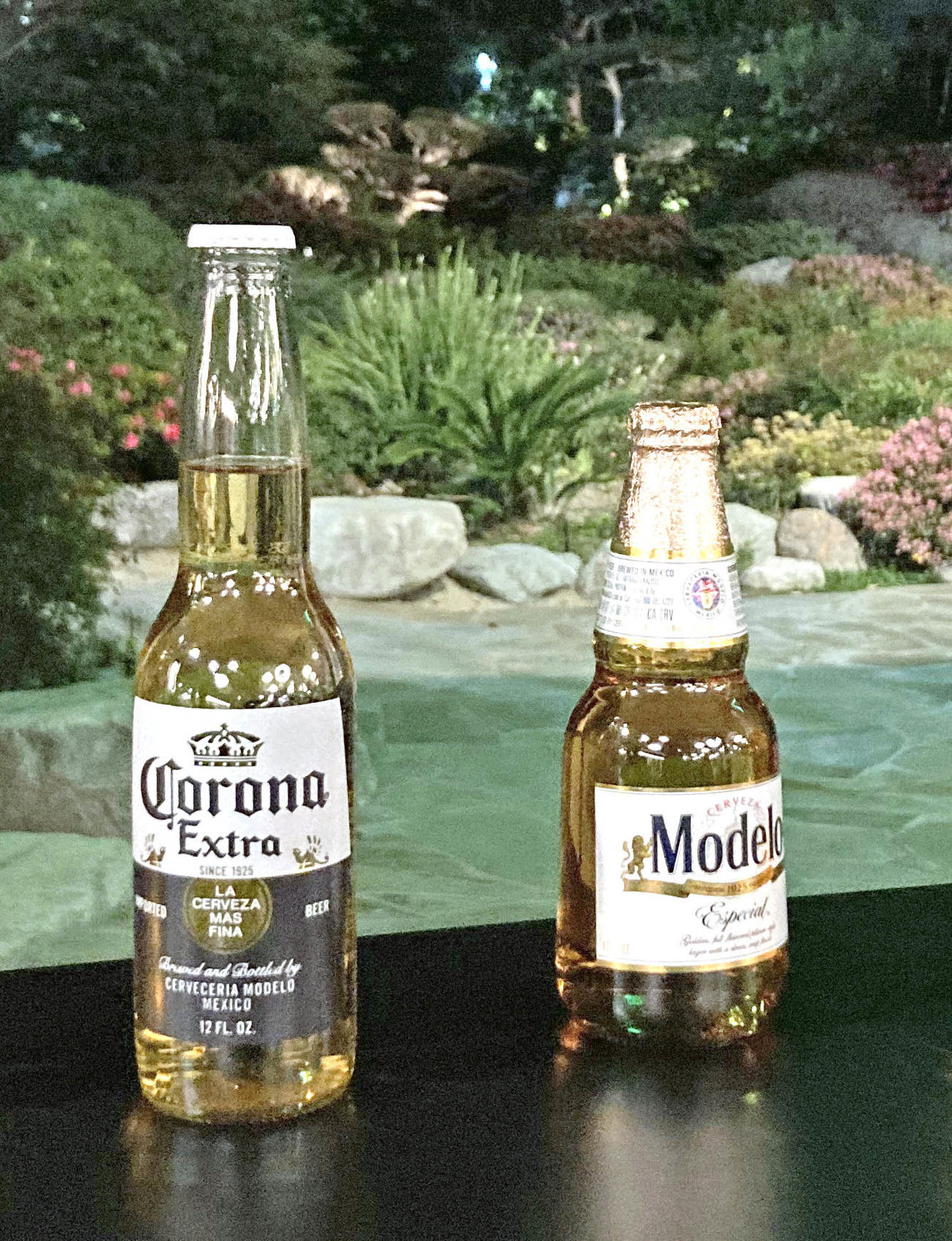 コロナとモデロはアメリカでも人気のメキシコのビール 