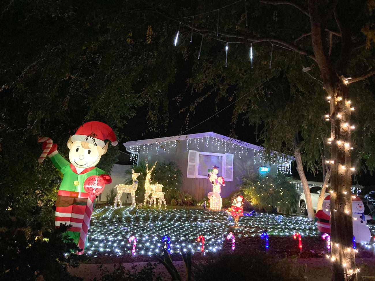 家や庭をクリスマスデコレーションでド派手に飾るのもアメリカならでは